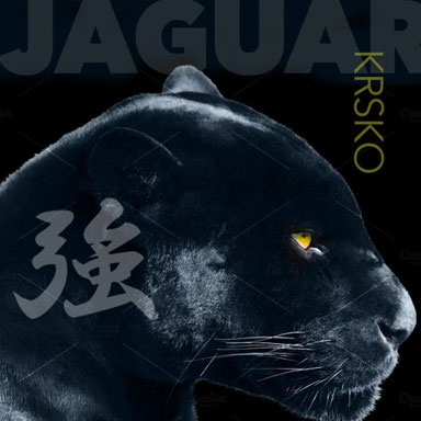 Project Cover